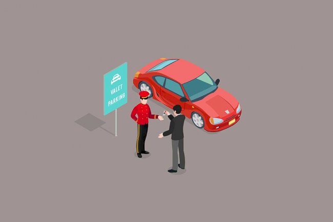 Valet Domain Parking