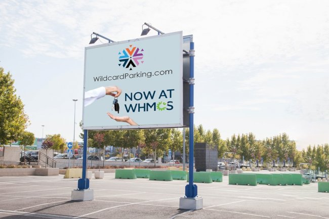 Wildcard Parking now in WHMCS